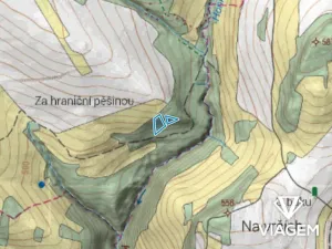 Prodej lesa, Příkrý, 3909 m2