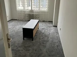 Pronájem bytu 1+1, Praha - Karlín, Thámova, 46 m2