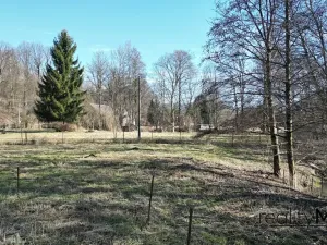 Prodej pozemku pro bydlení, Křižany, 2359 m2