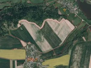 Dražba louky, Brumovice, 1160 m2