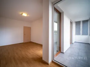 Prodej bytu 2+kk, České Budějovice - České Budějovice 5, Dobrovodská, 42 m2
