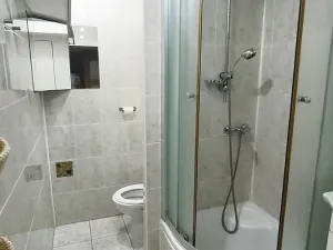 Pronájem bytu 1+1, Staré Město, Kopánky, 35 m2