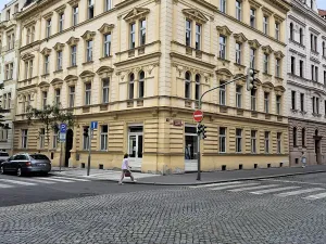 Pronájem bytu 2+1, Praha - Vinohrady, Perunova, 82 m2