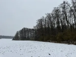 Prodej lesa, Moravský Krumlov, 2648 m2