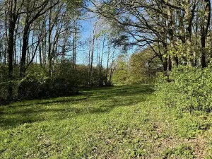 Prodej pozemku, Čížkov, 20250 m2