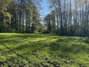 Prodej pozemku, Čížkov, 20250 m2