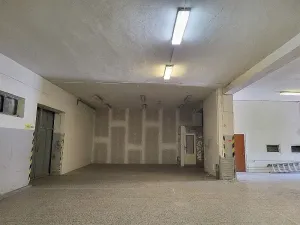 Pronájem skladu, Brno, Bohunická, 260 m2