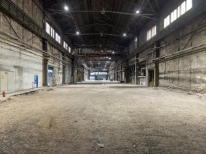 Pronájem výrobních prostor, Ostrava, 9648 m2