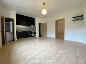 Pronájem bytu 2+kk, Brno, Obilní trh, 46 m2