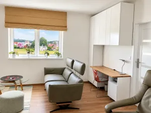Prodej bytu 3+kk, Žamberk, Velký Hájek, 90 m2