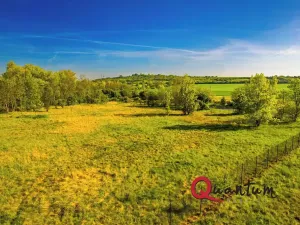 Prodej komerčního pozemku, Tišice, Mělnická, 6186 m2