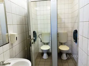 Pronájem restaurace, Písek, Hradiště, 497 m2