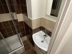 Pronájem bytu 1+kk, Praha - Žižkov, Zelenky-Hajského, 18 m2