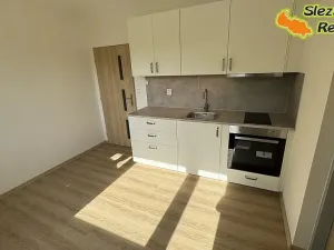 Pronájem bytu 1+1, Ostrava, Klegova, 40 m2