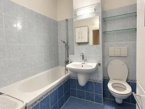 Pronájem bytu 2+kk, Karlovy Vary, Vrchlického, 55 m2