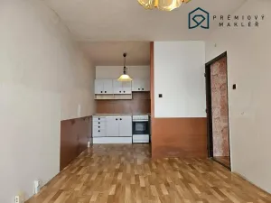 Prodej bytu 2+kk, Litvínov - Janov, Hamerská, 40 m2