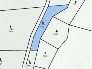 Prodej lesa, Řepníky, 562 m2