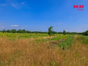 Prodej pole, Rakvice, 123477 m2