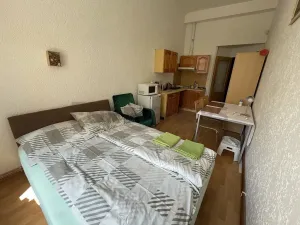 Pronájem bytu 1+kk, Hradec Králové, Tomkova, 35 m2
