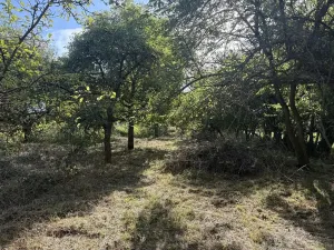 Prodej zahrady, Říčany, Do Lehovic, 2317 m2