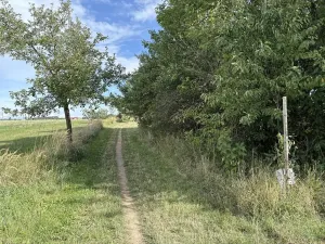 Prodej zahrady, Říčany, Do Lehovic, 2317 m2