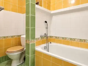 Pronájem bytu 1+1, Přerov, Petřivalského, 39 m2