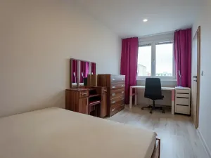 Pronájem bytu 2+1, Olomouc, Družební, 45 m2
