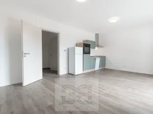 Pronájem bytu 1+kk, Plzeň, Na Průhonu, 37 m2