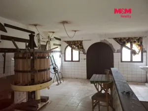 Prodej vinného sklepa, Vlkoš, 111 m2