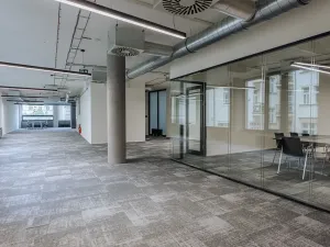Pronájem kanceláře, Praha - Nové Město, Václavské náměstí, 978 m2