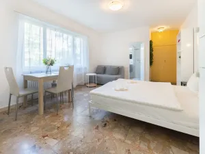 Pronájem bytu 1+1, Minusio, Švýcarsko, 30 m2