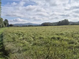 Prodej pozemku pro bydlení, Jestřebí, 1898 m2