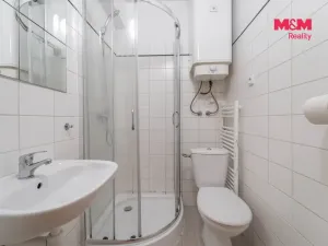 Prodej, Praha - Nusle, Krokova, 17 m2