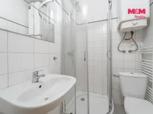 Prodej, Praha - Nusle, Krokova, 17 m2