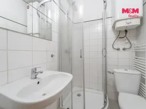 Prodej bytu 1+kk, Praha - Nusle, Krokova, 17 m2