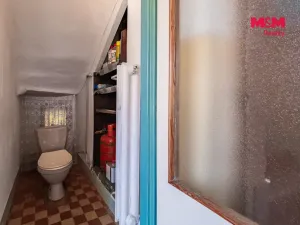 Prodej rodinného domu, Březnice, 236 m2