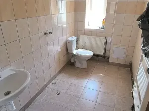 Pronájem vícegeneračního domu, Cheb, 284 m2