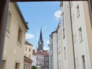 Pronájem bytu 1+kk, Praha - Žižkov, Seifertova, 25 m2