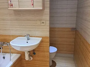 Pronájem bytu 1+kk, Hradec Králové, třída Edvarda Beneše, 29 m2