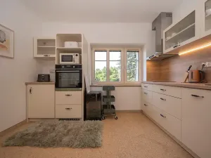 Prodej bytu 3+kk, Roprachtice, 74 m2
