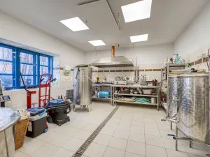 Prodej zemědělské usedlosti, Lhenice, 300 m2