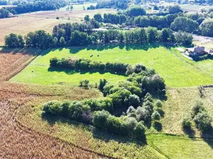 Prodej pozemku pro bydlení, Albrechtice nad Orlicí, 960 m2