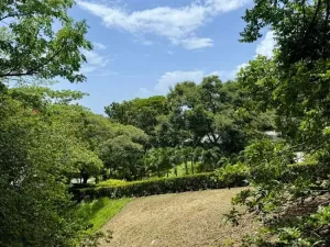Prodej bytu 3+kk, Coxen Hole, Roatán, Honduras, 111 m2