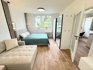 Prodej bytu 1+1, Jihlava, Březinova, 34 m2