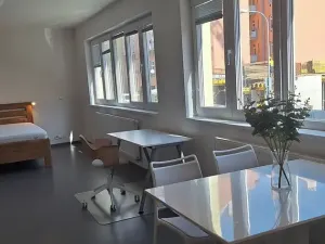 Pronájem bytu 1+kk, Brno, Stará, 46 m2