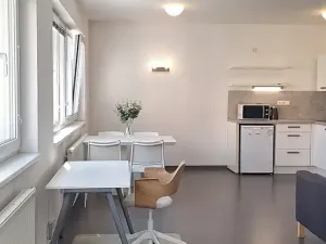 Pronájem bytu 1+kk, Brno, Stará, 46 m2