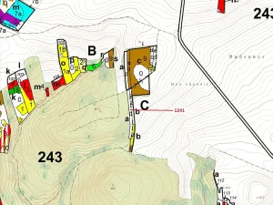 Dražba lesa, Vladislav, 2068 m2
