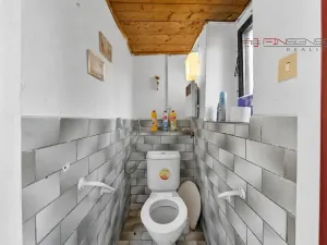 Prodej chalupy, Šípy, 150 m2