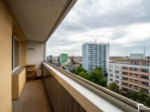 Pronájem bytu 1+kk, Pardubice - Zelené Předměstí, Palackého třída, 28 m2