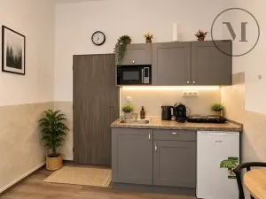 Prodej apartmánu, Benešov nad Černou, 17 m2